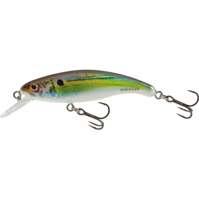 Afbeelding van Salmo Slick Stick 6cm Floating Real Holographic Shad Kunstaas
