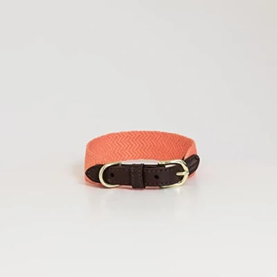 Afbeelding van Kentucky Dogwear Hondenhalsband, jacquard, maat M/L, neonoranje