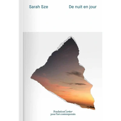 Afbeelding van Sarah Sze: De nuit en jour / Night into Day