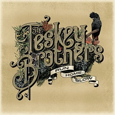 Afbeelding van Teskey Brothers Run Home Slow (LP)