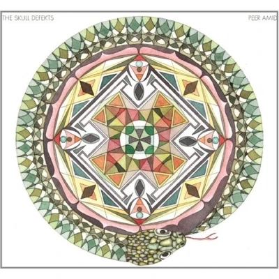 Afbeelding van Skull Defekts Feat. Daniel Higgs Peer Amid (CD)