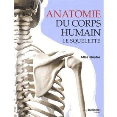Image de Anatomie du corps humain Le squelette