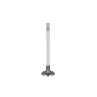 Afbeelding van FRECCIA R6728/SCR Inlaatklep 25,6 Klepsteeleind gehard, Verchroomde klepsteel PEUGEOT: 206 Hatchback, 308 I SW, 3008 I, CITROËN: Berlingo II Van