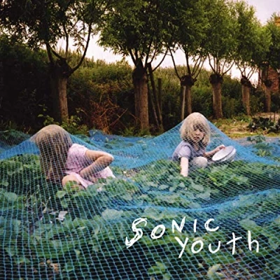 Afbeelding van Sonic Youth Murray Street (LP)