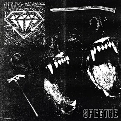 Afbeelding van Stick To Your Guns Spectre (2 LPs)