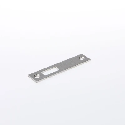 Afbeelding van Lips Sluitplaat RVS SPT 2477 R