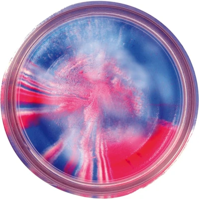 Afbeelding van Powerbait Trout Bait Natural Scent (50 g) Kleur : Red White Blue