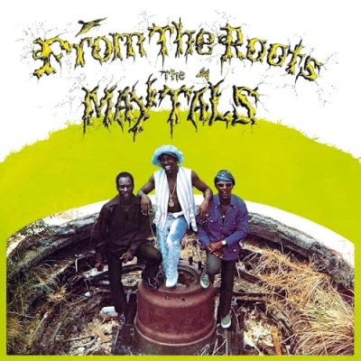 Afbeelding van Maytals From the Roots (LP)
