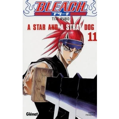 Afbeelding van BLEACH Tome 11