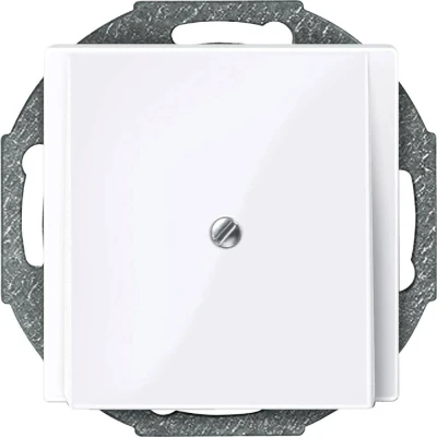 Afbeelding van Merten 296325 Afdekking System M Wit