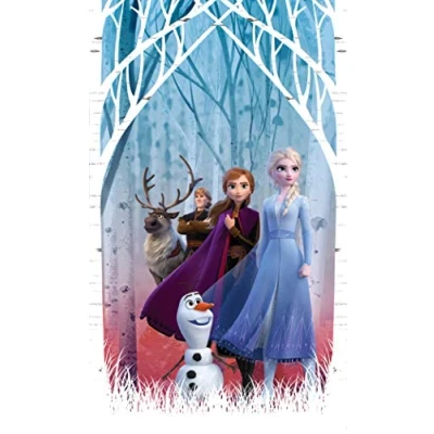 Afbeelding van AG Design ELSA gordijnen voor kinderkamer, Frozen 2, meerkleurig, 140 x 245 cm