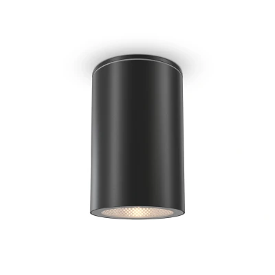 Afbeelding van Maytoni Outdoor Plafondlamp Roll Zwart Ø6,5