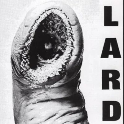 Afbeelding van Lard Power Of (LP) (Coloured Vinyl)
