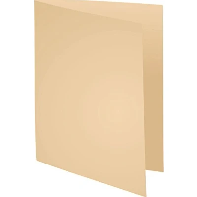 Afbeelding van Exacompta dossiermap Forever met zichtrand, ft A4, pak van 100, gems