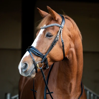 Image de HB Showtime Bridle Snowflake