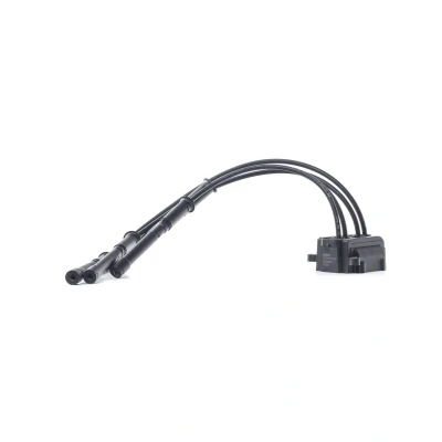 Afbeelding van DELPHI CE20017 12B1 Bobine 3 12 RENAULT: CLIO 2, Kangoo I, TWINGO 1