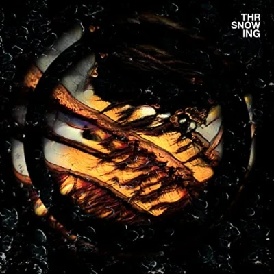 Afbeelding van Throwing Snow Dragons (LP)