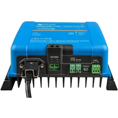 Afbeelding van Phoenix smart ip43 charger 12/50 (1+1)