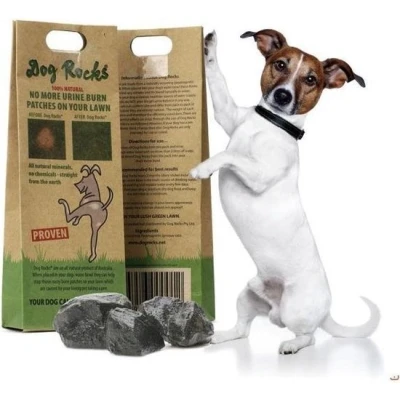Afbeelding van Dog Rocks