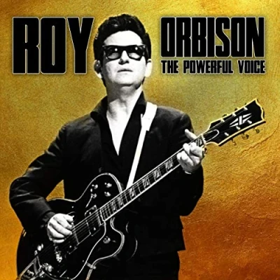 Afbeelding van Roy Orbison The Powerful Voice (LP)