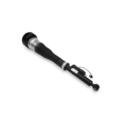 Afbeelding van Magnum Technology APA002MT Pneumatischeveerpoot Rechts voor