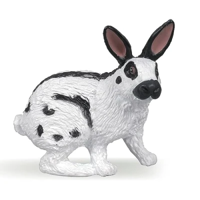 Image de Lapin papillon