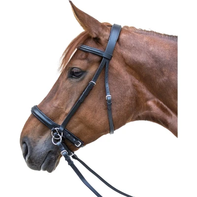 Afbeelding van Star Bitloos Hoofdstel Zwart Full