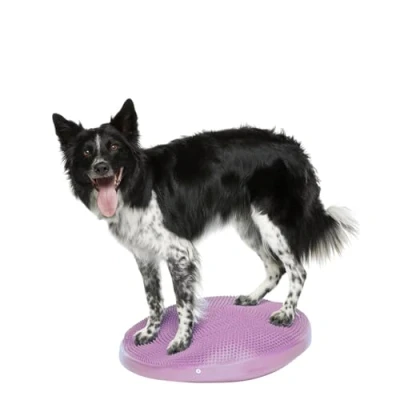 Afbeelding van FitPAWS Dierenbalansschijf 56 cm roze