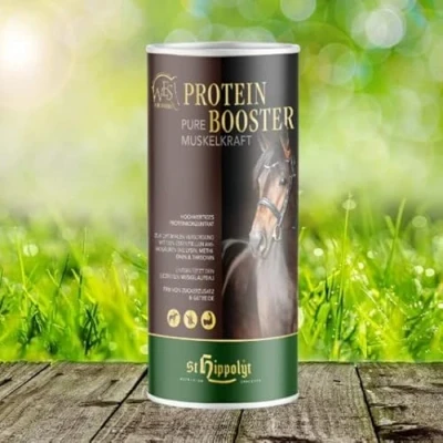Afbeelding van WES Protein Booster 0,750 g