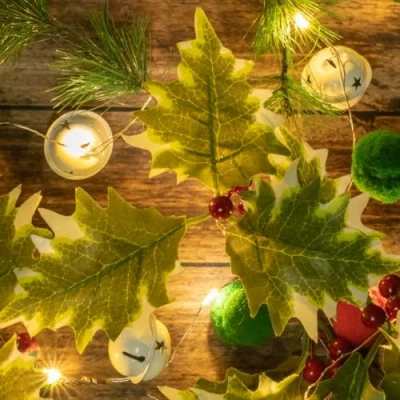 Afbeelding van The Christmas Workshop 73999 kerstlichtketting met 20 micro leds, werkt op batterijen, rood/groen en wit/warm wit
