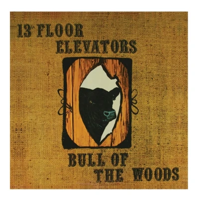 Afbeelding van 13th Floor Elevators Bull Of The Woods (2 CD)