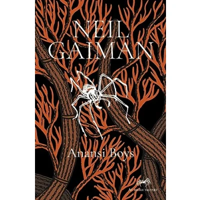 Afbeelding van Anansi boys
