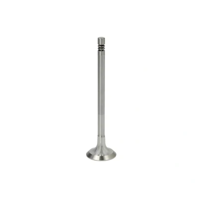 Afbeelding van Ae Uitlaatklep V95002