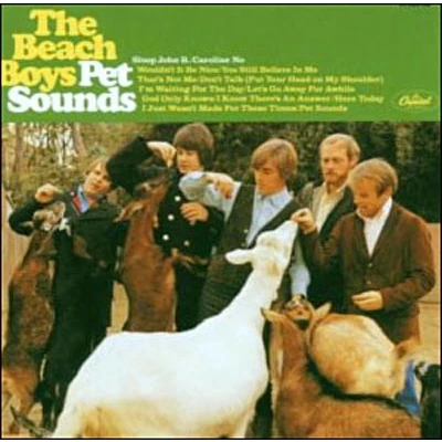 Image de Pet sounds mono version
