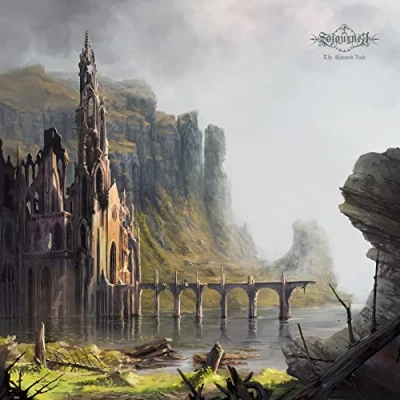 Afbeelding van Sojourner Shadowed Road (2 LPs)