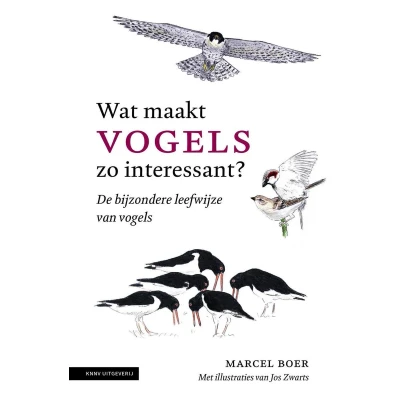 Afbeelding van Wat maakt vogels zo interessant