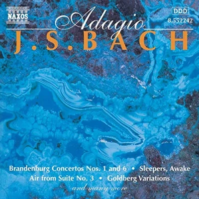 Afbeelding van Various Artists Adagio: Bach (CD)