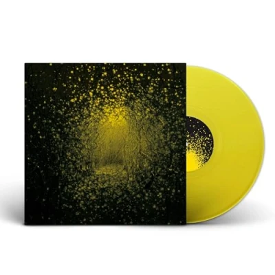 Afbeelding van Antlers Burst Apart (LP)