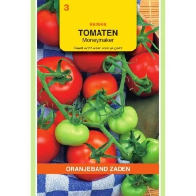 Afbeelding van Tomaten moneymaker