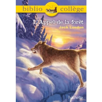 Afbeelding van ISBN 9782012815377 boek Educatief Frans 200 pagina&#039;s