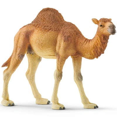 Afbeelding van Schleich wild life dromedaris 14 cm