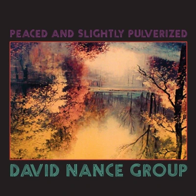 Afbeelding van David Nance Group Peaced And Slightly Pulverized (LP)