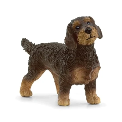 Image de schleich 13972 Teckel à poil dur, dès 3 ans, FARM WORLD figurine, 2 x 7 4 cm