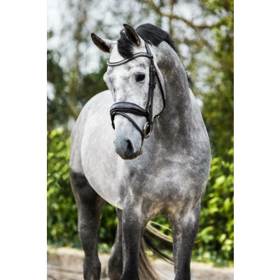 Image de Premiera &quot;Verona&quot; brown anatomical bridle