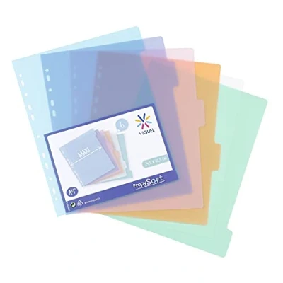 Image de Viquel Lot de 6 intercalaires en plastique Maxi format (24,5x30,5cm) Pour classeur A4 ou à levier