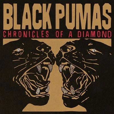 Image de Chronicles Of A Diamond