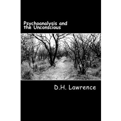 Afbeelding van Psychoanalysis and the Unconscious