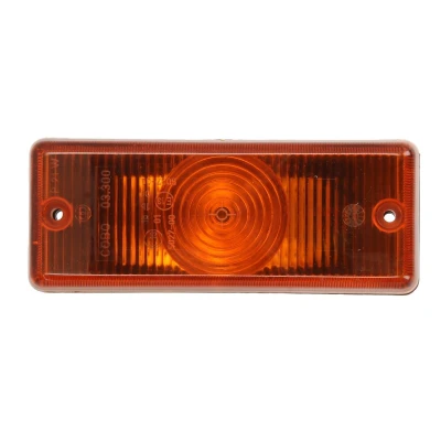 Afbeelding van DT Spare Parts 7.25114 Knipperlichten