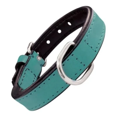 Afbeelding van Dog collar Gloria Padded Turquoise (30 x 1,5 cm)