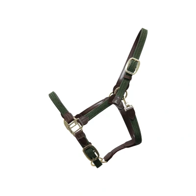 Image de Kentucky Licol Plaited Nylon Olive Vert Full